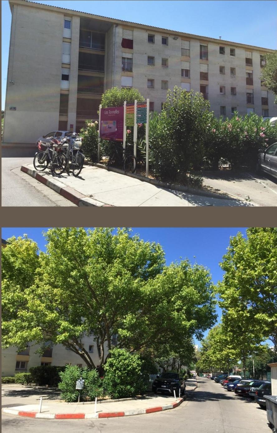 Apartamento Studio 50M Tram Parking Gratuit 13Min Gare Montpellier Exterior foto